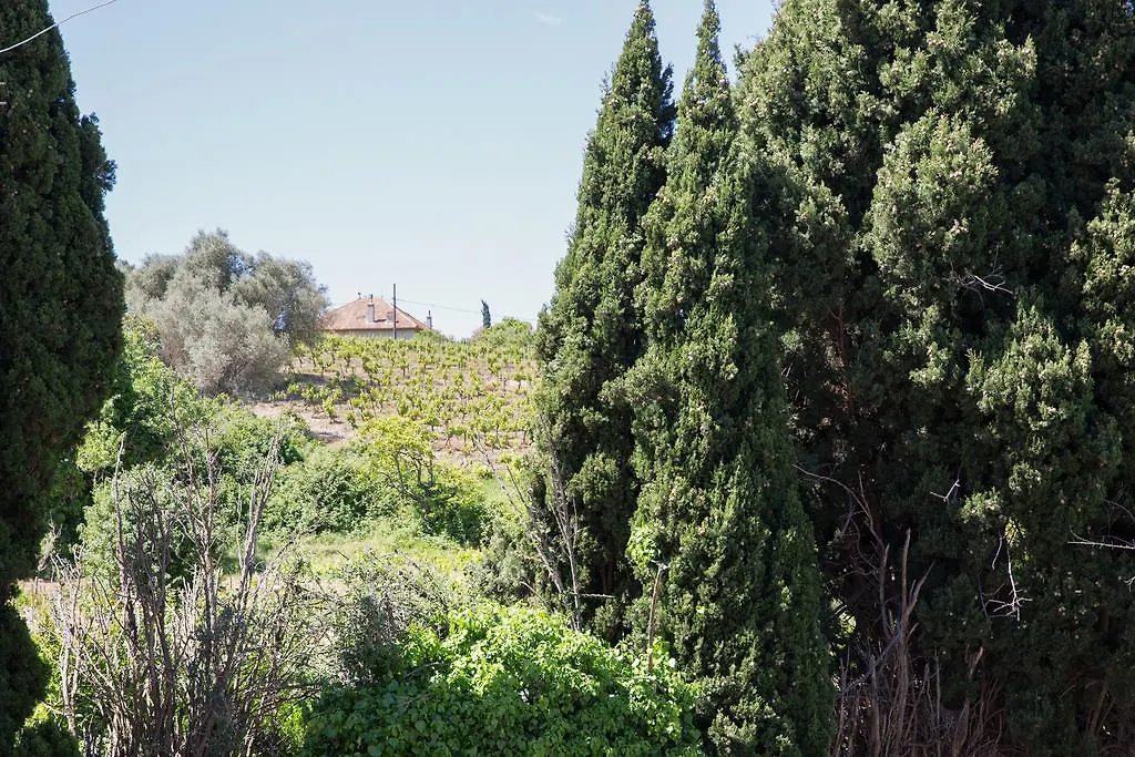 Residence La Source Toulon